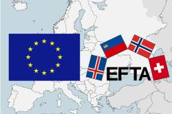 Mercato UE+EFTA I semestre