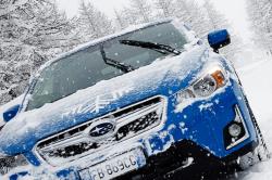 Subaru Winter Check